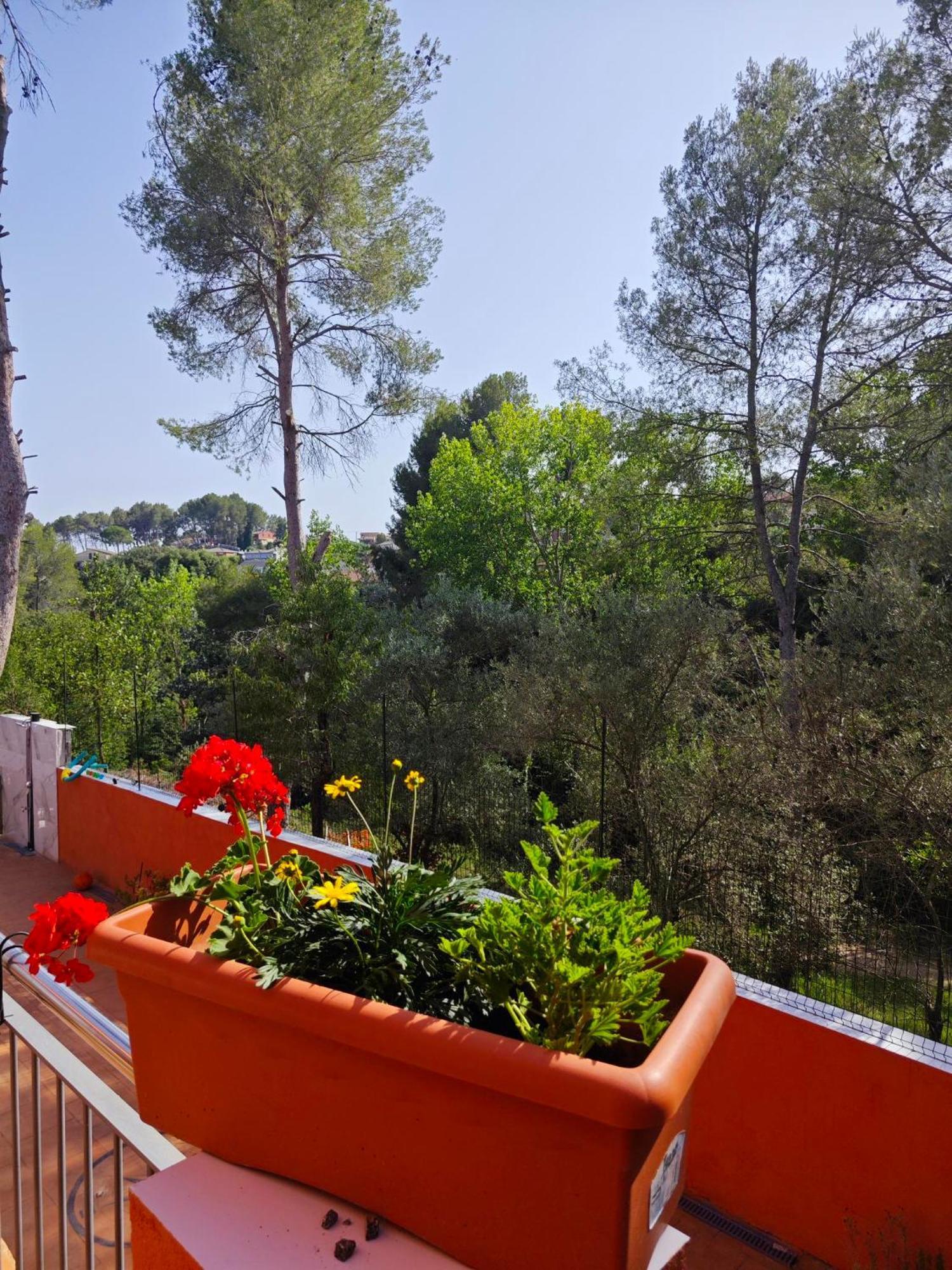 Relax House Barcelone Villa Sant Esteve Sesrovires Eksteriør bilde